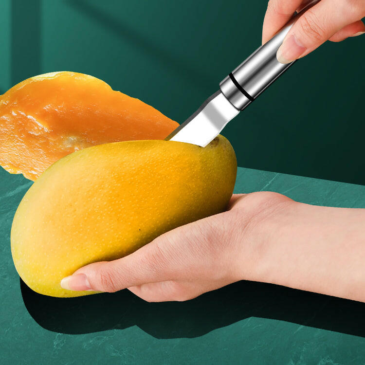 KITCH AT EASE™ 2-in-1 Stainless Steel Mango Pitter and Spoon